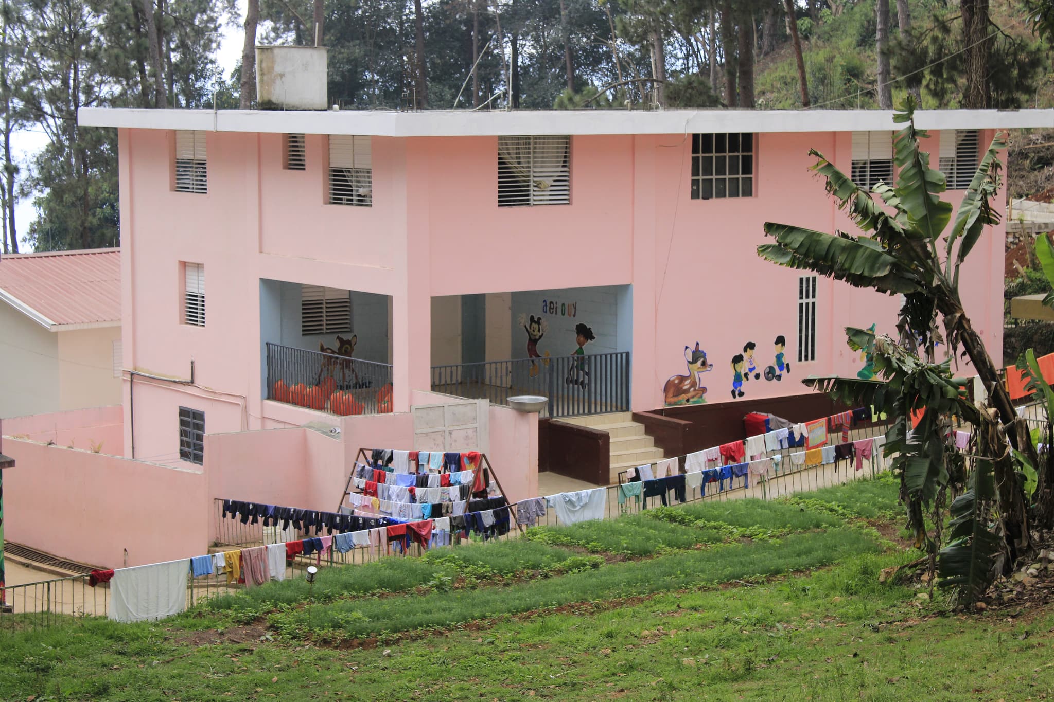 ein rosa Gebäude von nph